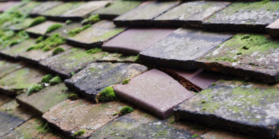 Tarbock roof repair costs